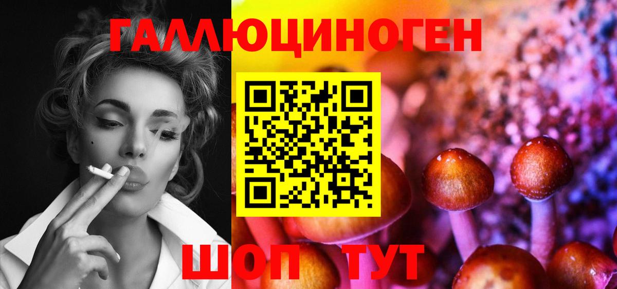 Псилоцибиновые грибы GOLDEN TEACHER Краснокаменск